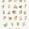 ABC Poster "Gartenpflanzen" Din A2