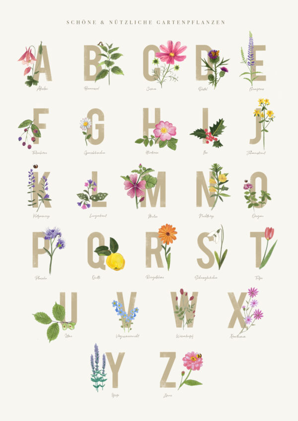 ABC Poster "Gartenpflanzen" Din A2