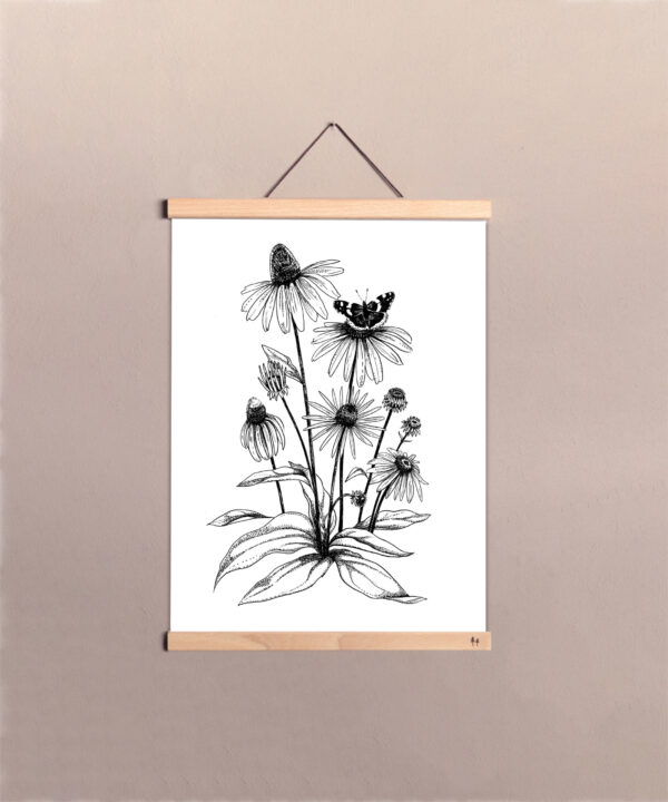 Sonnenhut Botanik Poster