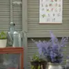 ABC Poster "Gartenpflanzen" Din A2