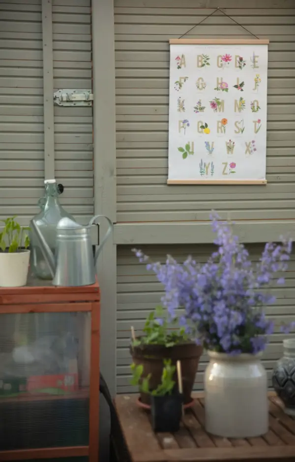 ABC Poster "Gartenpflanzen" Din A2