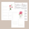 Kalender immerwährend Geburtstage (29,7 x 21,0 cm)
