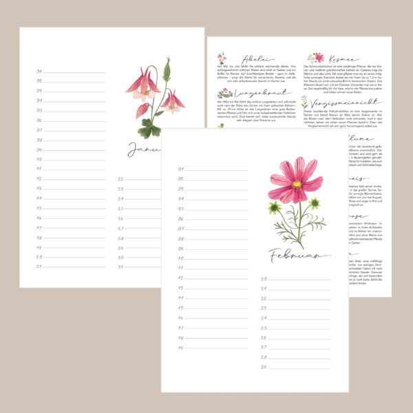 Kalender immerwährend Geburtstage (29,7 x 21,0 cm)