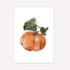 Herbstliche Postkarte Kürbis