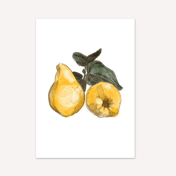 herbstliche Postkarte Aquarell Motiv mit 2 gelben Quitten