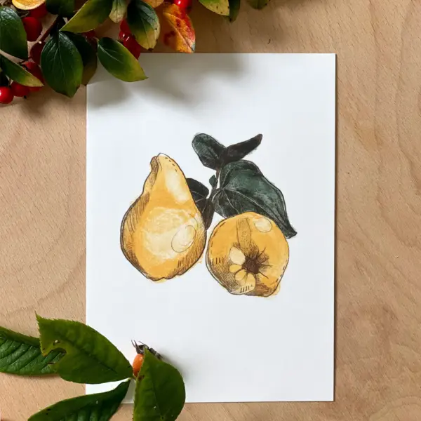 herbstliche Postkarte Quitte (10,5 x 14,8 cm)