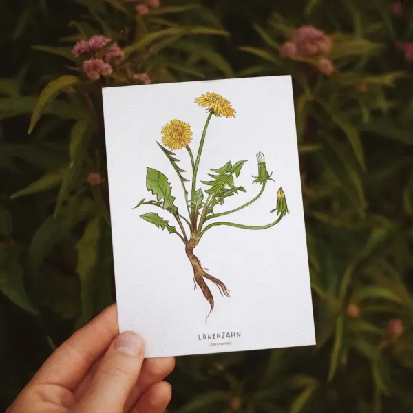 Postkarte Löwenzahn (10,5 x 14,8 cm)